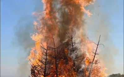 Osterfeuer 2025